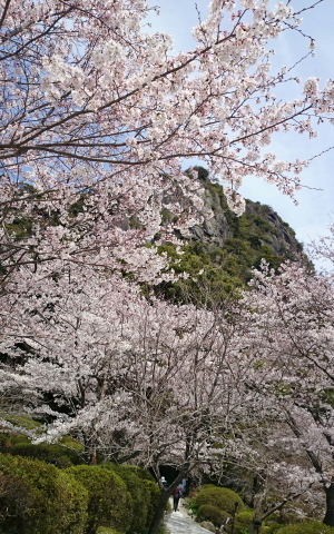 DSC_5350~2.jpg