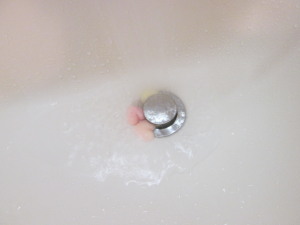 aIMG_4886.jpg