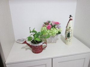 aIMG_6364.jpg