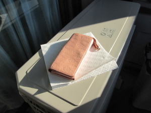 aIMG_6730.jpg